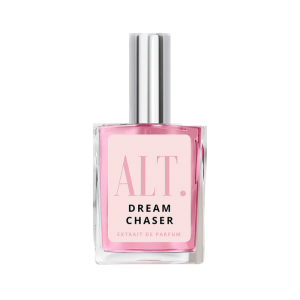 Dream Chaser
